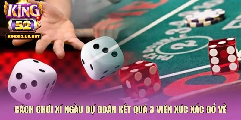 Cách chơi xí ngầu dự đoán kết quả 3 viên xúc xắc đổ về