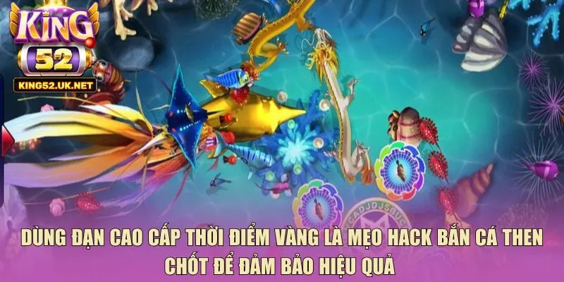 Dùng đạn cao cấp thời điểm vàng là mẹo hack bắn cá then chốt để đảm bảo hiệu quả